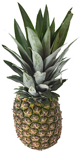 Pineapple